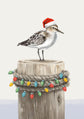 Christmas Sandpiper 05397